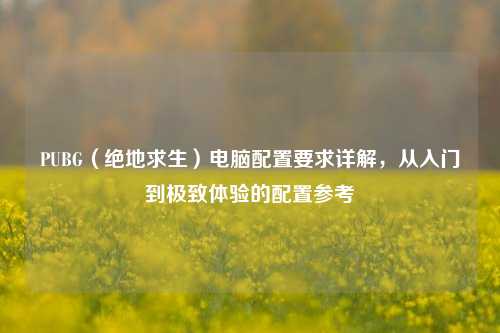 PUBG（绝地求生）电脑配置要求详解，从入门到极致体验的配置参考
