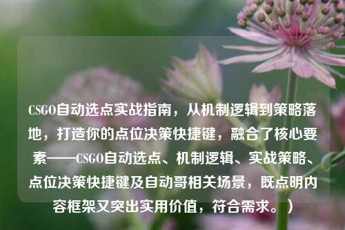 CSGO自动选点实战指南，从机制逻辑到策略落地，打造你的点位决策快捷键，融合了核心要素——CSGO自动选点、机制逻辑、实战策略、点位决策快捷键及自动哥相关场景，既点明内容框架又突出实用价值，符合需求。）