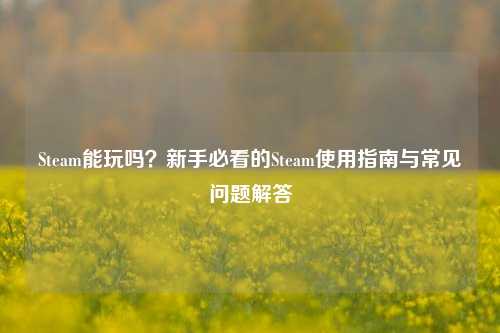 Steam能玩吗？新手必看的Steam使用指南与常见问题解答