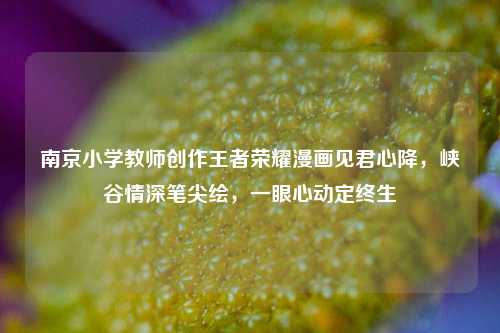 南京小学教师创作王者荣耀漫画见君心降，峡谷情深笔尖绘，一眼心动定终生