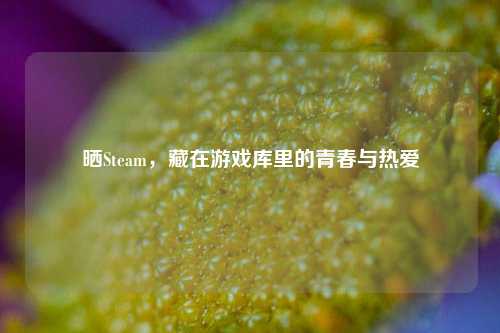 晒Steam，藏在游戏库里的青春与热爱