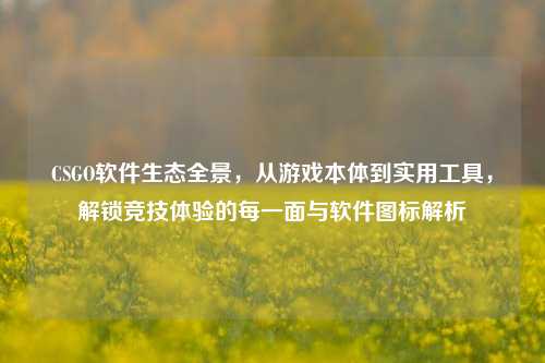CSGO软件生态全景，从游戏本体到实用工具，解锁竞技体验的每一面与软件图标解析