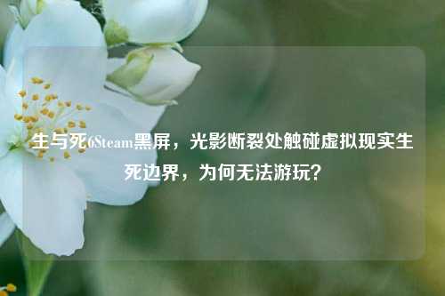 生与死6Steam黑屏，光影断裂处触碰虚拟现实生死边界，为何无法游玩？