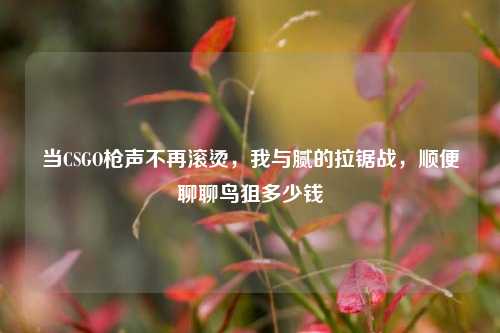 当CSGO枪声不再滚烫，我与腻的拉锯战，顺便聊聊鸟狙多少钱