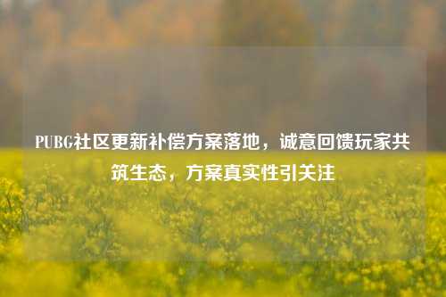 PUBG社区更新补偿方案落地，诚意回馈玩家共筑生态，方案真实性引关注