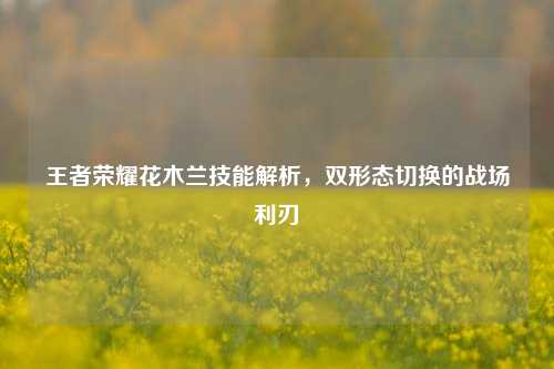 王者荣耀花木兰技能解析，双形态切换的战场利刃