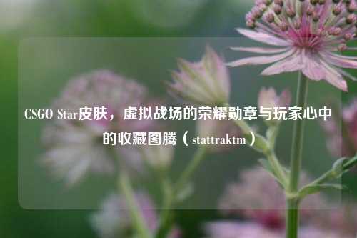 CSGO Star皮肤，虚拟战场的荣耀勋章与玩家心中的收藏图腾（stattraktm）