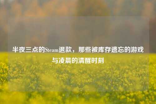 半夜三点的Steam退款，那些被库存遗忘的游戏与凌晨的清醒时刻