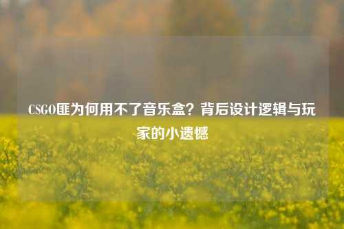 CSGO匪为何用不了音乐盒？背后设计逻辑与玩家的小遗憾