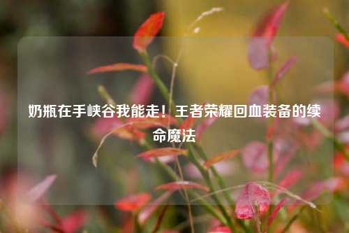 奶瓶在手峡谷我能走！王者荣耀回血装备的续命魔法