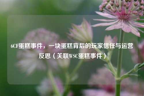 6CF蛋糕事件，一块蛋糕背后的玩家信任与运营反思（关联WSC蛋糕事件）