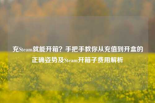 充Steam就能开箱？手把手教你从充值到开盒的正确姿势及Steam开箱子费用解析