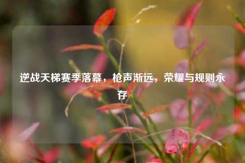 逆战天梯赛季落幕，枪声渐远，荣耀与规则永存