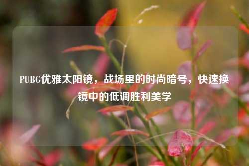 PUBG优雅太阳镜，战场里的时尚暗号，快速换镜中的低调胜利美学