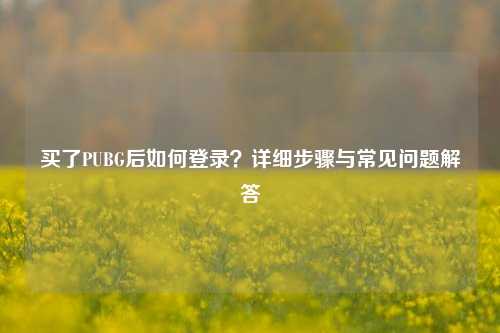 买了PUBG后如何登录？详细步骤与常见问题解答