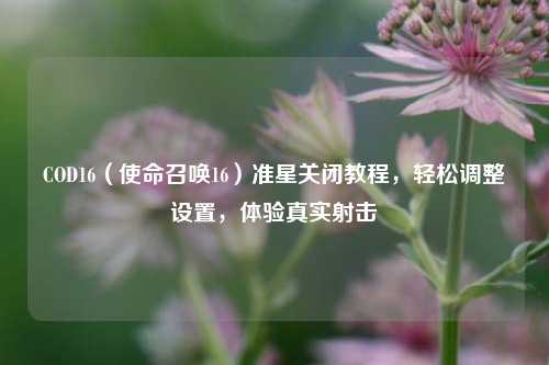 COD16（使命召唤16）准星关闭教程，轻松调整设置，体验真实射击