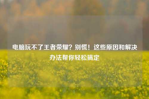 电脑玩不了王者荣耀？别慌！这些原因和解决办法帮你轻松搞定