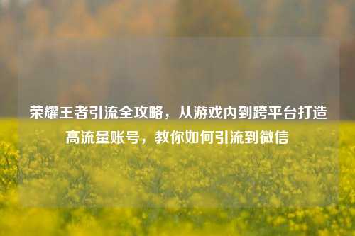 荣耀王者引流全攻略，从游戏内到跨平台打造高流量账号，教你如何引流到微信