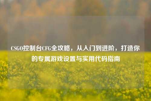 CSGO控制台CFG全攻略，从入门到进阶，打造你的专属游戏设置与实用代码指南