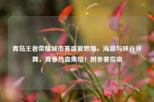 青岛王者荣耀城市赛盛夏燃爆，海浪与峡谷共舞，青春热血集结！附参赛指南