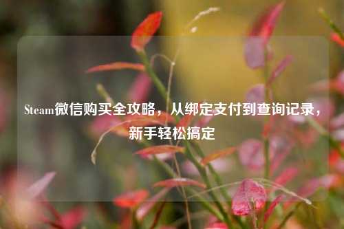 Steam微信购买全攻略，从绑定支付到查询记录，新手轻松搞定
