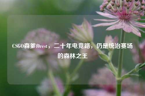 CSGO森爹f0rest，二十年电竞路，仍是统治赛场的森林之王