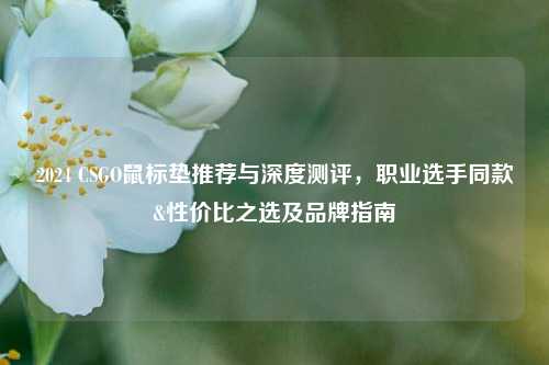 2024 CSGO鼠标垫推荐与深度测评，职业选手同款&性价比之选及品牌指南