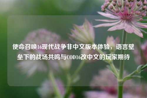 使命召唤16现代战争非中文版本体验，语言壁垒下的战场共鸣与COD16改中文的玩家期待