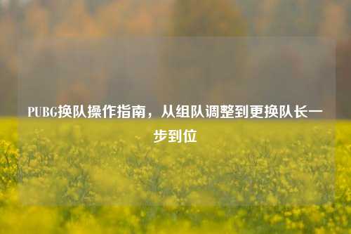 PUBG换队操作指南，从组队调整到更换队长一步到位