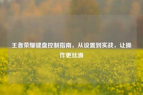 王者荣耀键盘控制指南，从设置到实战，让操作更丝滑