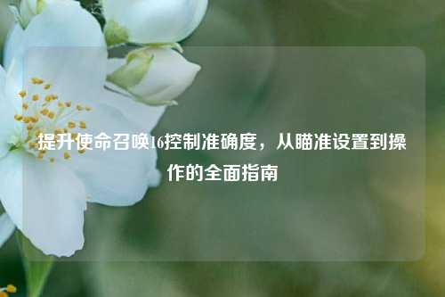 提升使命召唤16控制准确度,从瞄准设置到操作的全面指南