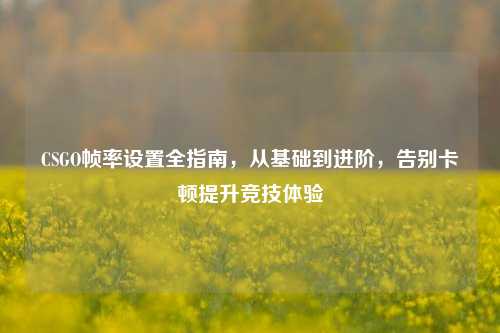 CSGO帧率设置全指南，从基础到进阶，告别卡顿提升竞技体验