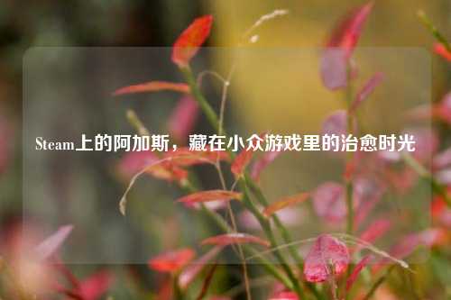 Steam上的阿加斯，藏在小众游戏里的治愈时光