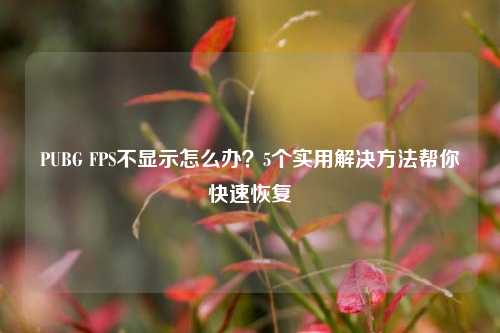 PUBG FPS不显示怎么办？5个实用解决方法帮你快速恢复