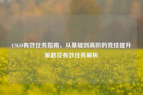 CSGO有效任务指南，从基础到高阶的竞技提升策略及有效任务解析