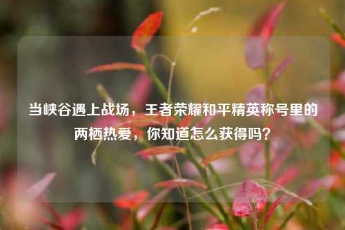 当峡谷遇上战场，王者荣耀和平精英称号里的两栖热爱，你知道怎么获得吗？