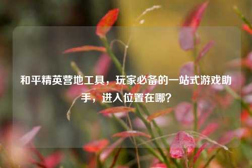 和平精英营地工具，玩家必备的一站式游戏助手，进入位置在哪？