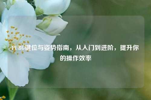 PUBG键位与姿势指南，从入门到进阶，提升你的操作效率