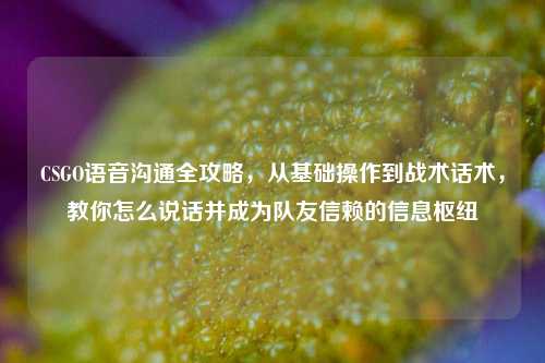 CSGO语音沟通全攻略,从基础操作到战术话术,教你怎么说话并成为队友信赖的信息枢纽