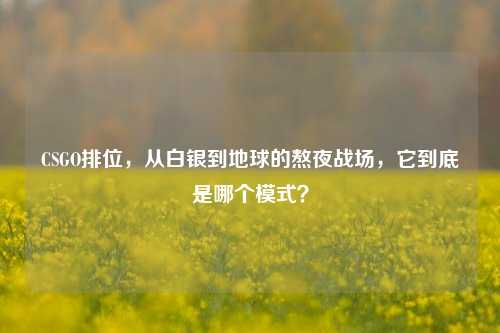 CSGO排位,从白银到地球的熬夜战场,它到底是哪个模式?