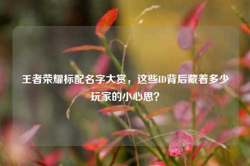 王者荣耀标配名字大赏，这些ID背后藏着多少玩家的小心思？