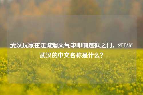 武汉玩家在江城烟火气中叩响虚拟之门，STEAM武汉的中文名称是什么？