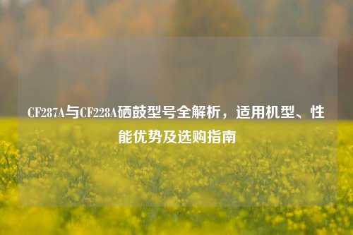 CF287A与CF228A硒鼓型号全解析，适用机型、性能优势及选购指南