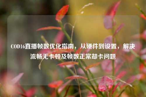 COD16直播帧数优化指南，从硬件到设置，解决流畅无卡顿及帧数正常却卡问题