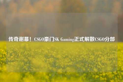 传奇谢幕！CSGO豪门SK Gaming正式解散CSGO分部