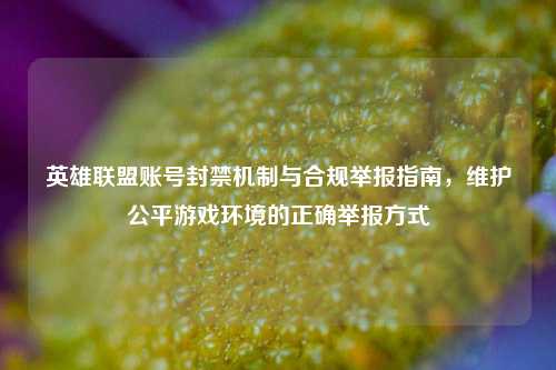 英雄联盟账号封禁机制与合规举报指南，维护公平游戏环境的正确举报方式