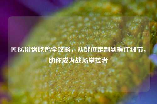 PUBG键盘吃鸡全攻略，从键位定制到操作细节，助你成为战场掌控者