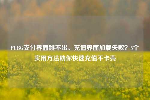 PUBG支付界面跳不出、充值界面加载失败？5个实用方法助你快速充值不卡壳
