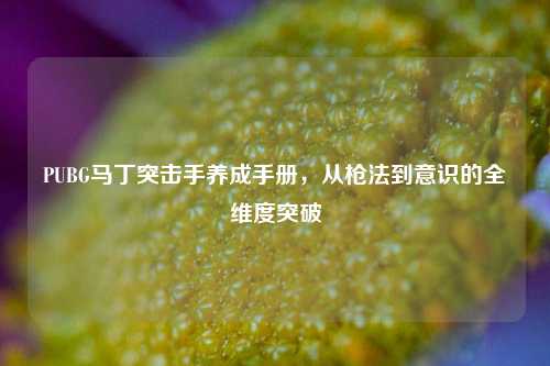PUBG马丁突击手养成手册，从枪法到意识的全维度突破