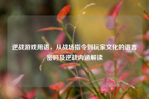 逆战游戏用语，从战场指令到玩家文化的语言密码及逆战内涵解读